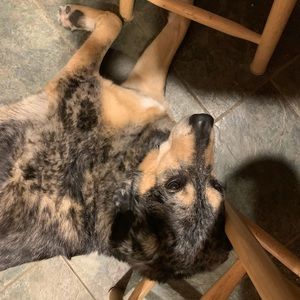 Meet your Posher, Madeline